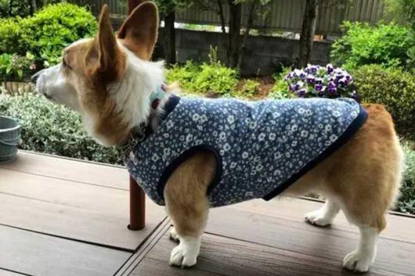 丁寧な縫製と丈夫な素材