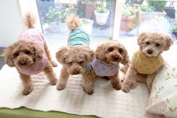 カスタマイズ性