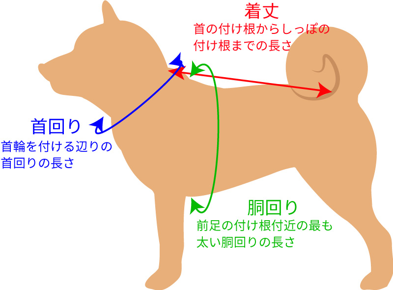 サイズについて